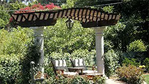 Pergola/Arbor Design & Installation