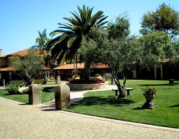 Residential Courtyard Landscaping in Vista, CA