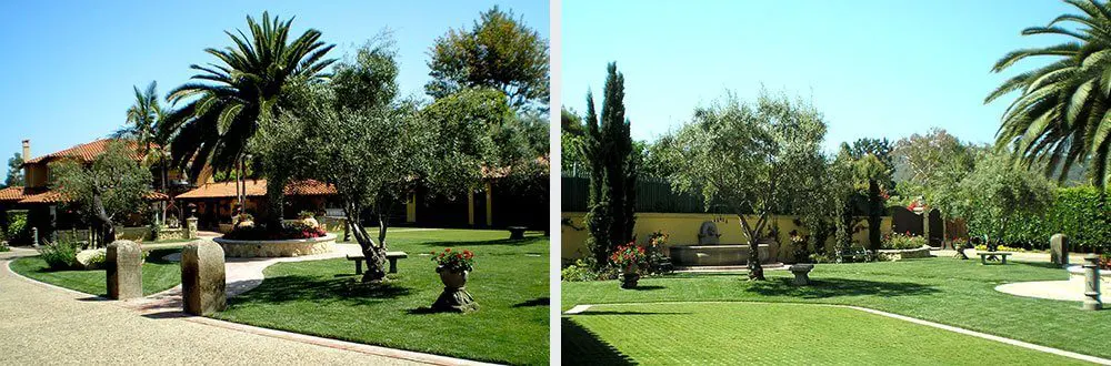 General Courtyard Landscaping